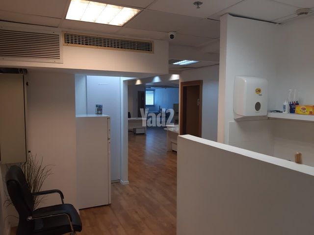 לזרוב 