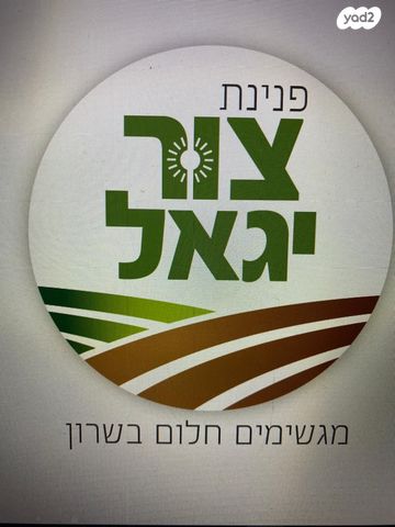 מגרשים