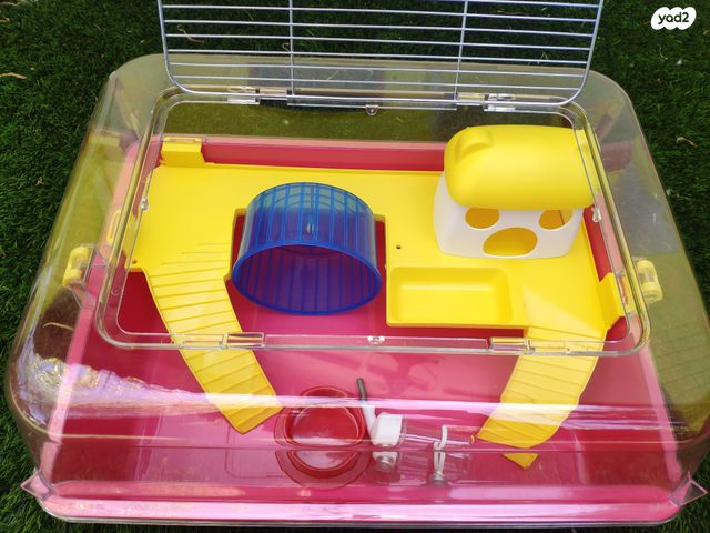 תמונת מודעה - חיות מחמד