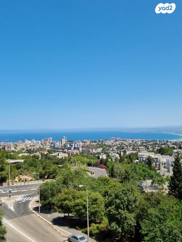 דירה, יגאל אלון, סביוני הכרמל, חיפה