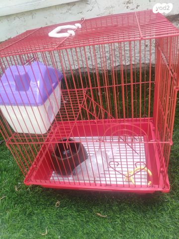 תמונת מודעה - חיות מחמד