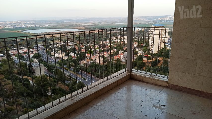 כליל החורש 
