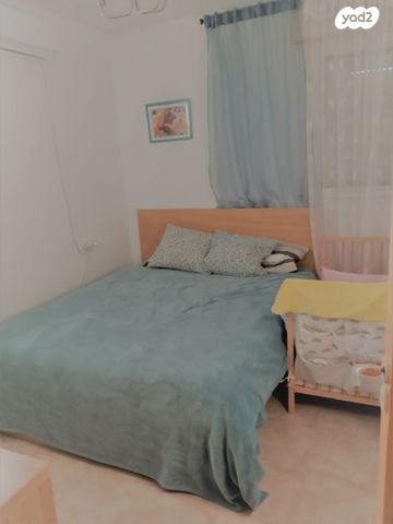 דירה, זלמן שניאור, רמות רמז, חיפה