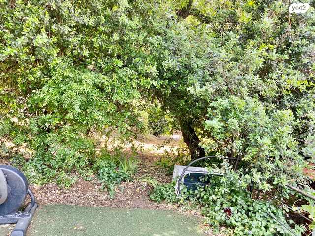 דו משפחתי, קרית טבעון