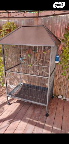 תמונת מודעה - חיות מחמד