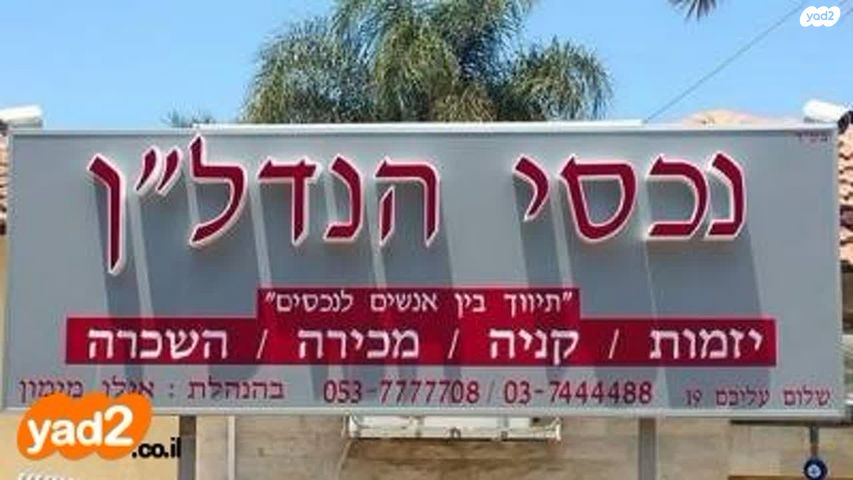 הנרקיס 