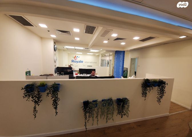 חטיבת אלכסנדרוני 