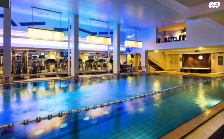 אלי לנדאו 60