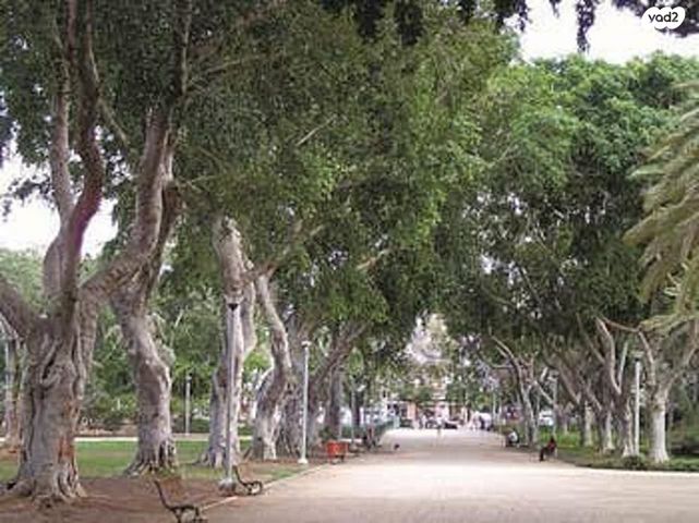 גג/ פנטהאוז, המלך ג'ורג', לב תל אביב, לב העיר צפון, תל אביב יפו