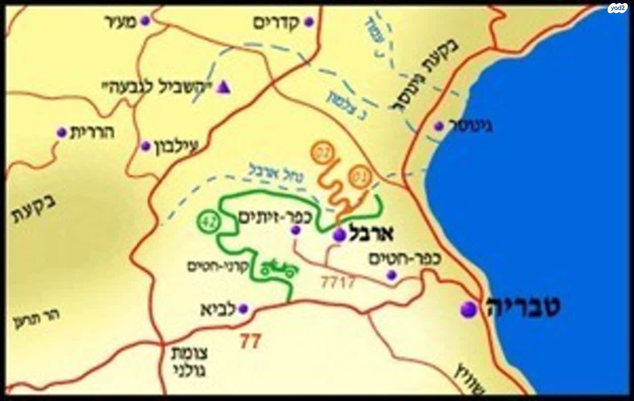 מגדל