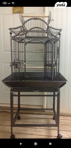 תמונת מודעה - חיות מחמד