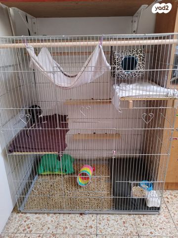 אביזרים | כלוב