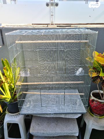 תמונת מודעה - חיות מחמד