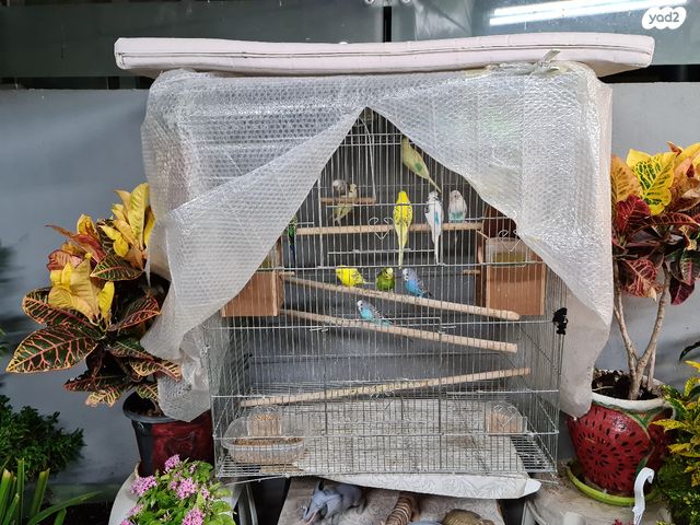 אביזרים | כלוב