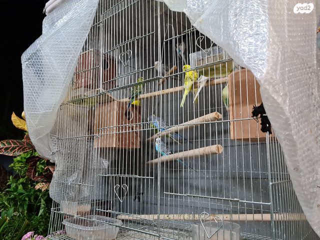 אביזרים | כלוב