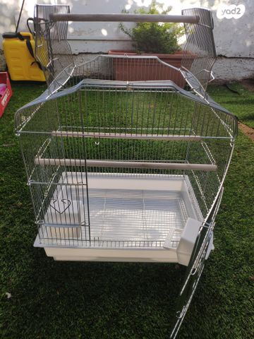 תמונת מודעה - חיות מחמד