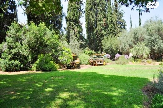 בית פרטי/ קוטג', סביון, סביון