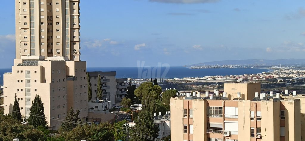 צה"ל 