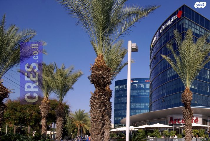 משרדים, רעננה