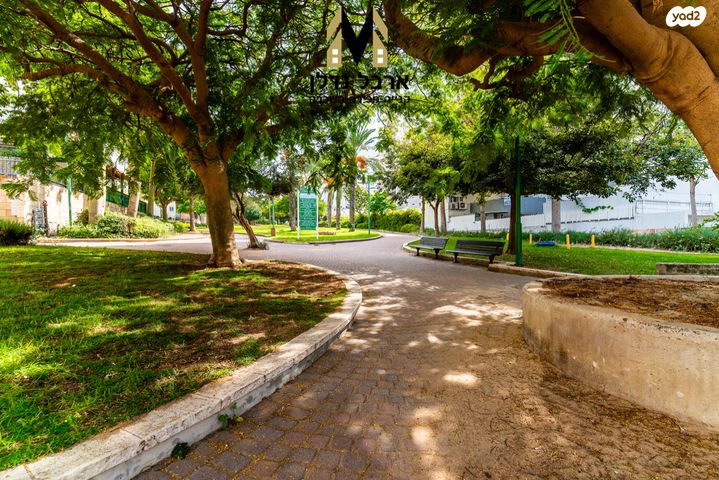 דירה, הסיטי, אשקלון