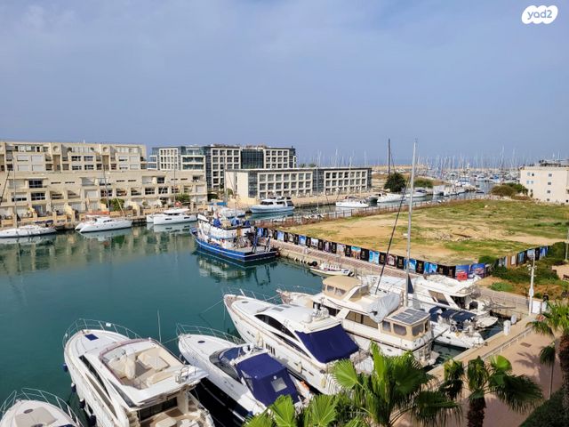 דירה, מרינה, הרצליה