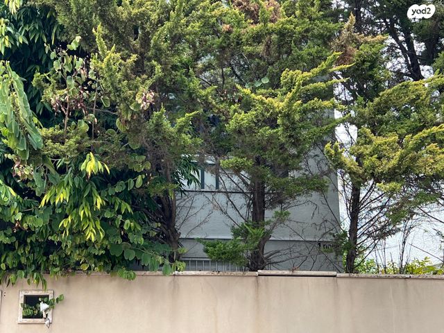 מתתיהו שוהם 