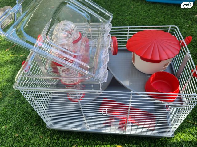 תמונת מודעה - חיות מחמד