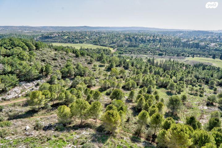 גג/ פנטהאוז