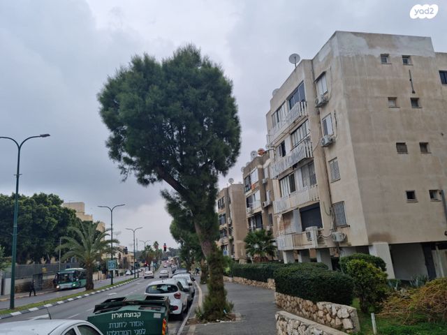 דירה, תל אביב יפו