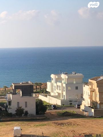 הבריגדה היהודית 