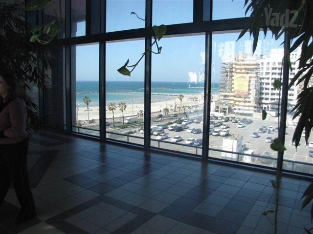 דירה להשכרה בתל אביב יפו (תיווך) — 4
