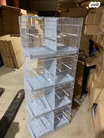 תמונת מודעה - חיות מחמד