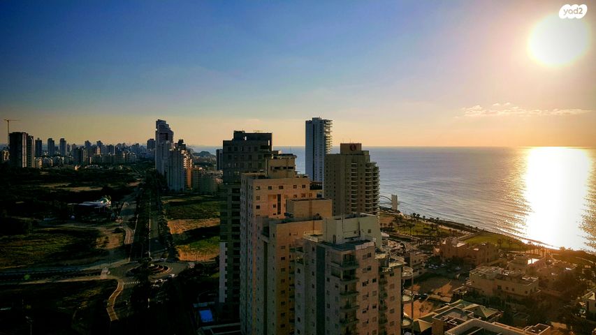 אמנון ליפקין שחק 