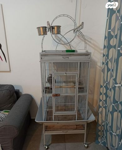 תמונת מודעה - חיות מחמד