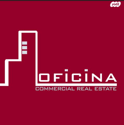 מדינת היהודים 