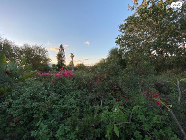 בית פרטי/ קוטג', הים, קיסריה