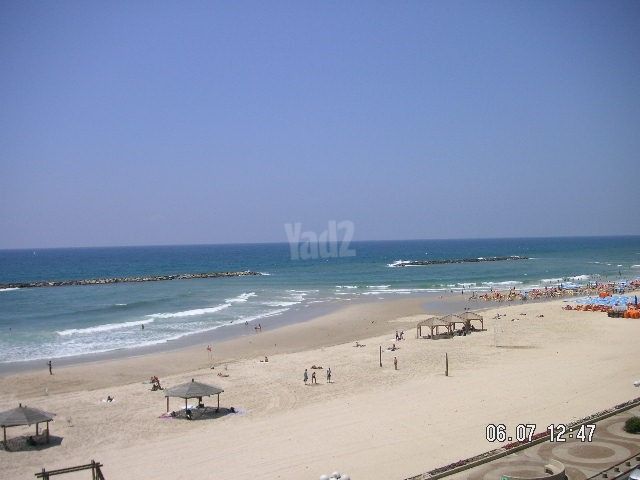 דירה להשכרה בתל אביב יפו (תיווך) — 2