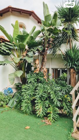 בית פרטי/ קוטג', אורנית