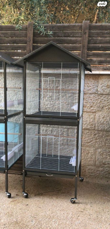 תמונת מודעה - חיות מחמד