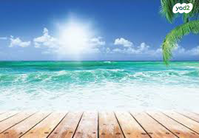 חנויות/ שטח מסחרי