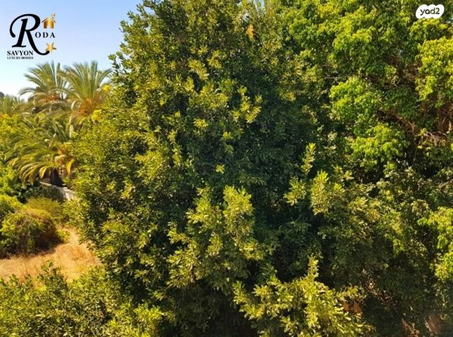 בית פרטי/ קוטג', סביון