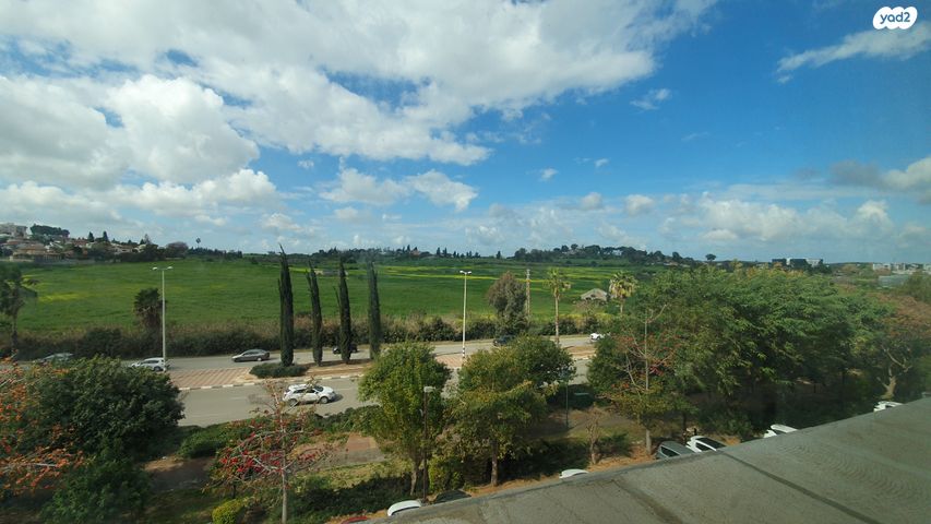 משרדים, דרך מאיר וייסגל, רחובות