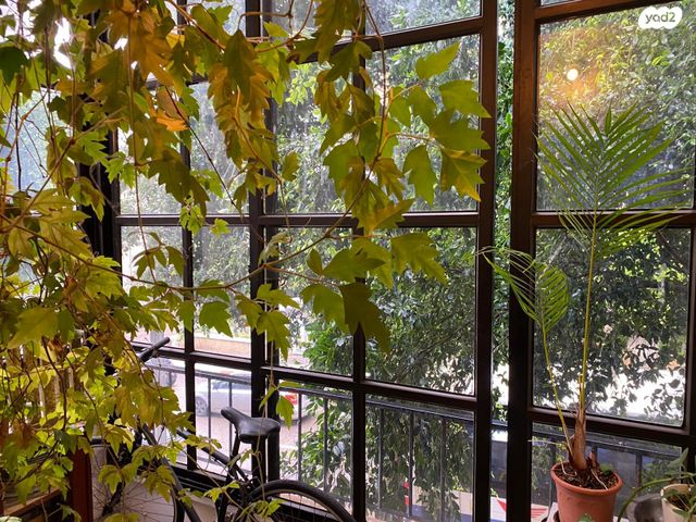 דירה, כיכר הבימה, תל אביב יפו