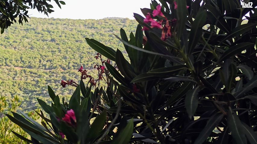 רמות יצחק
