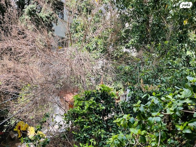 דירה, מאנה, תל אביב יפו