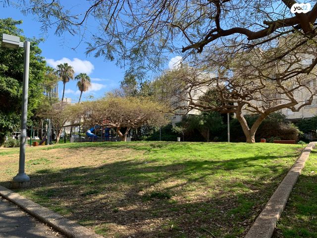 ד"ר בודנהיימר 