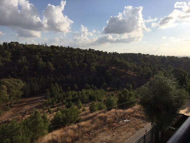 דירה, רבי יוסי בן קיסמא 30, אלעד, אלעד