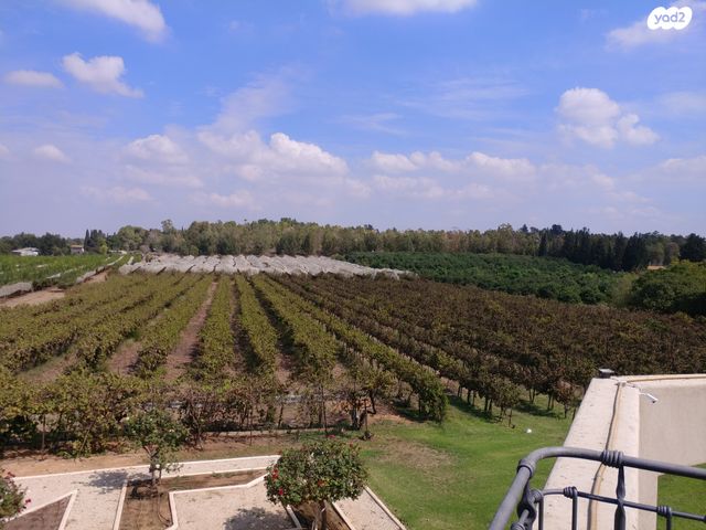 משק חקלאי/ נחלה, קדרון, קדרון