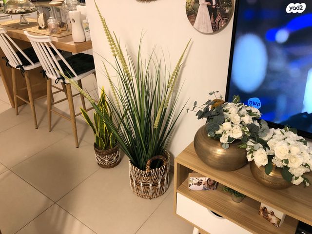 דירה, נחל ירקון 38, כרמי גת, קרית גת