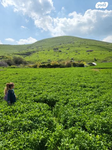 דירה, יבנאל